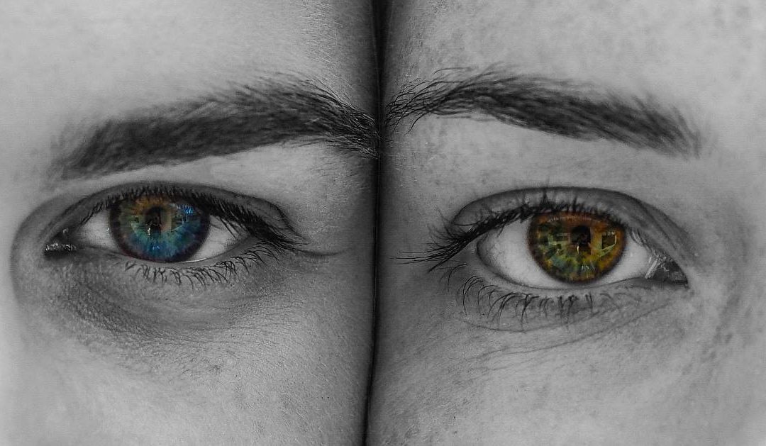 Über den Unterschied der Geschlechter – in der Medizin